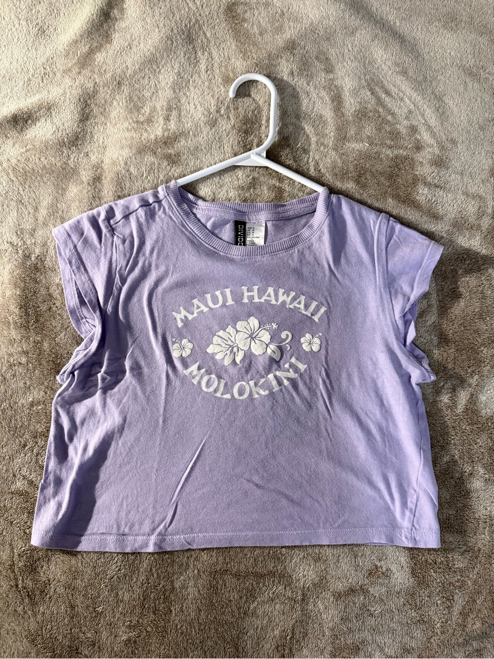 H&M - Lavender Graphic 'Maui Hawaii Molokini' Short Sleeve Tee